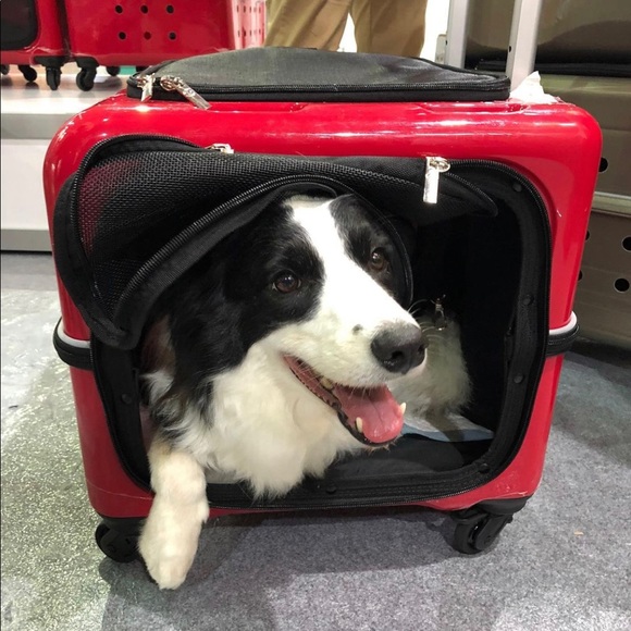 Pet carrier - Picture 1 of 7